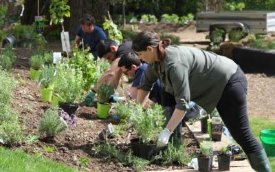 Partenaire et Mécène de GoodPlanet !