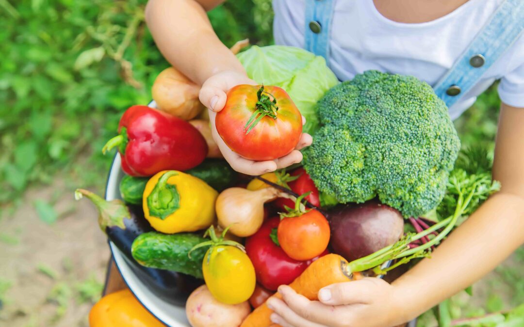 Légumes d’été : mangez-les tout crus !